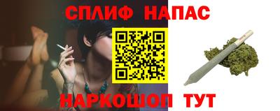 гидра Нальчик