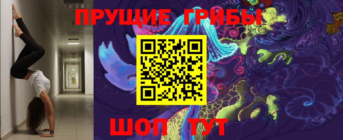 Псилоцибиновые грибы мухоморы Бузулук